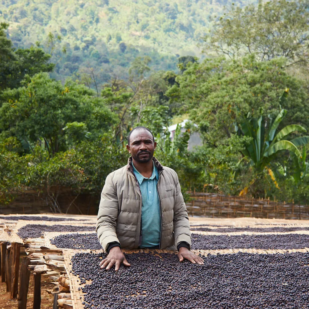 Afrika Mischung Kaffee-Abo