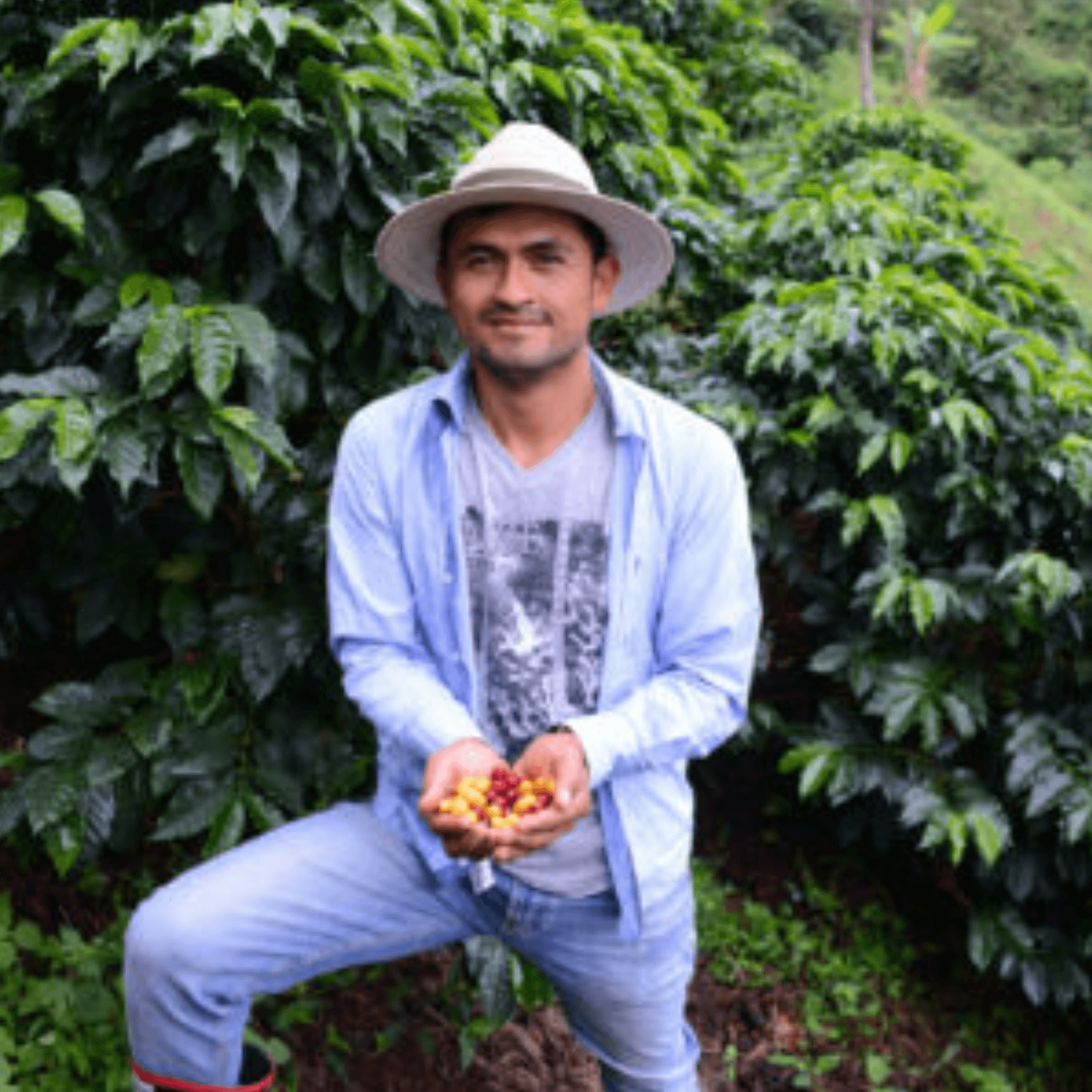 Oscar on his Coffee Farm Finca Los Nogales