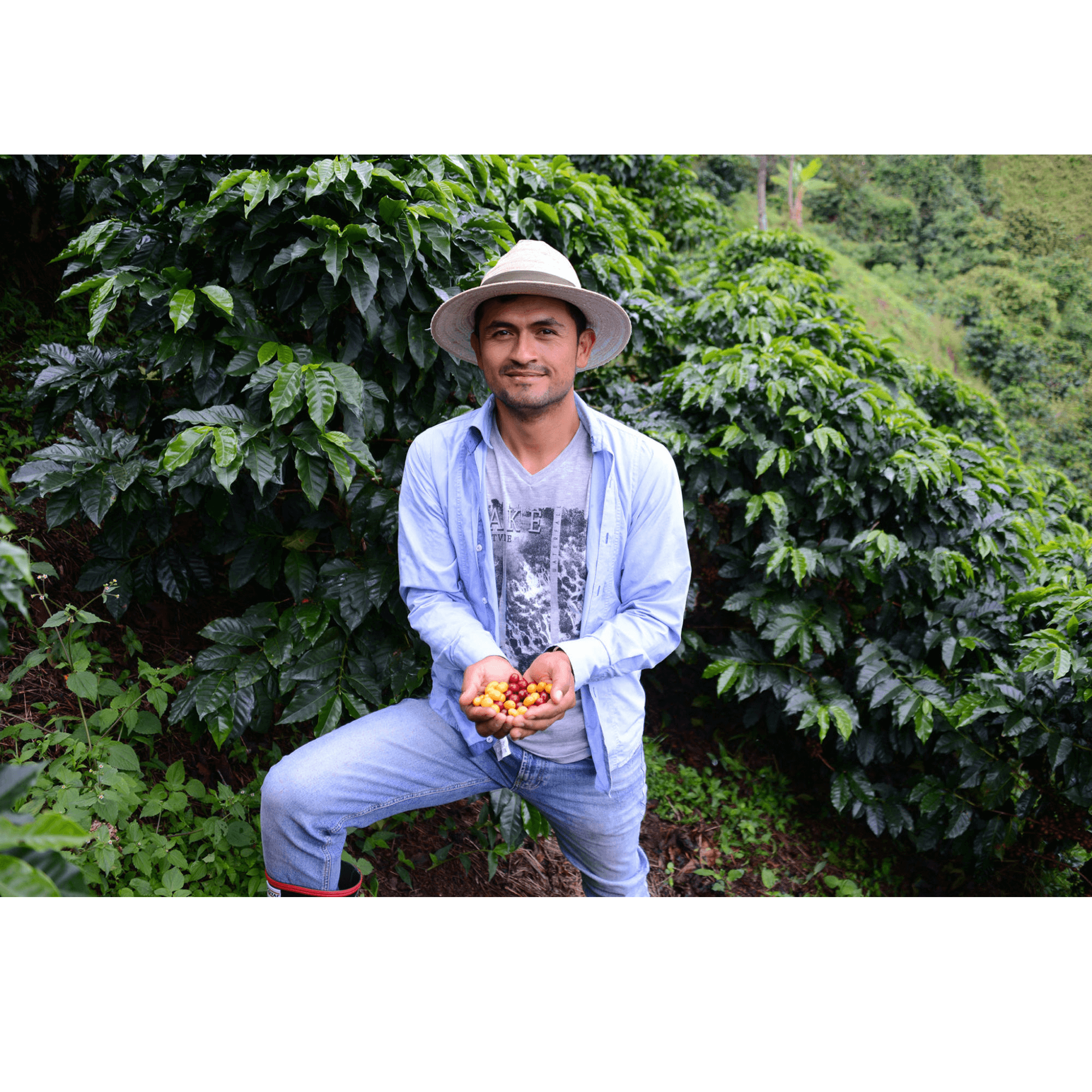 Oscar on his coffee farm Finca Los Nogales